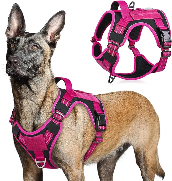 rabbitgoo Tactical Dog Harness for Large Dogs, No Pull Military Service Vest with Handle & Molle, Easy Control for Training Walking, Adjustable Reflective Straps, Black & Rose Red, L