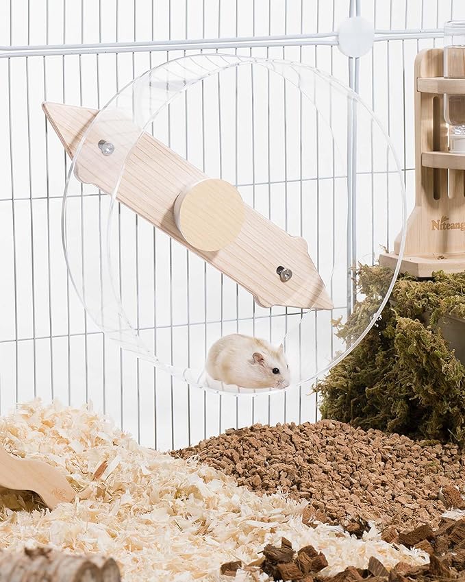Niteangel Silent Hanging Hamster Wheel - Dual-Bearing Cage-Mounted Quiet Spinning Acrylic Exercise Wheel for Hamsters Gerbils Mice Degus and Other Small Pets (M)