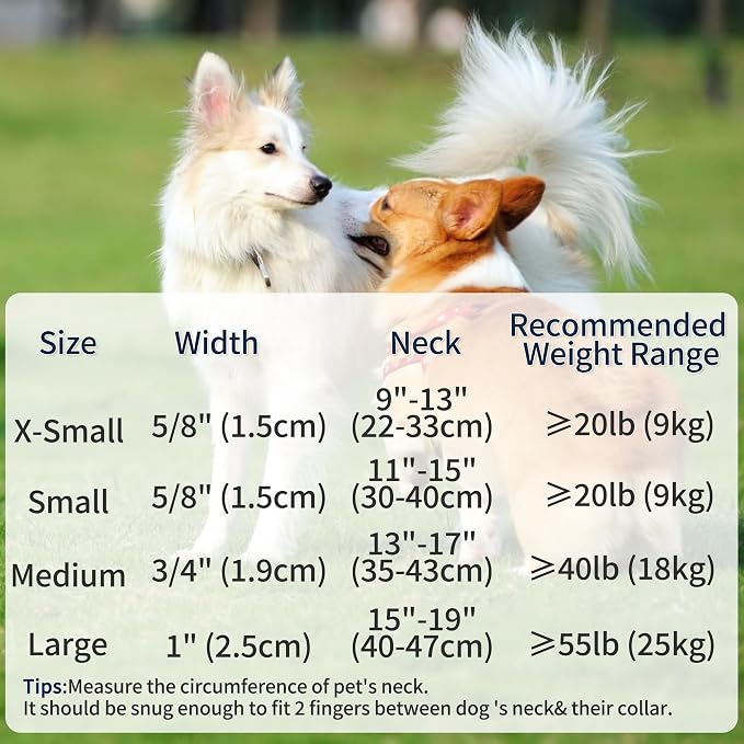 Mile High Life Genuine Leather Dog Collar, Soft Cotton Pet Collars with Heavy Metal Buckle for Small Large Dogs (Red, L Neck 17"-21")