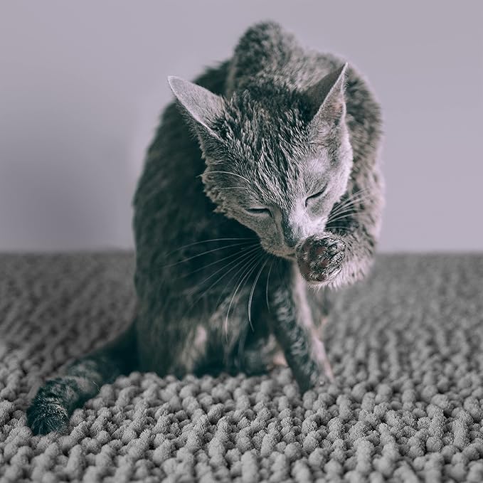 CatGuru Cat Litter Mat, Medium, Extra Large, XXL, Waterproof Litter Box Mat, Non Slip Kitty Litter Mat, Machine Washable Litter Trapping Mat, Soft Litter Tray, Cat Stuff (XL, Gray/Heavy-Duty)