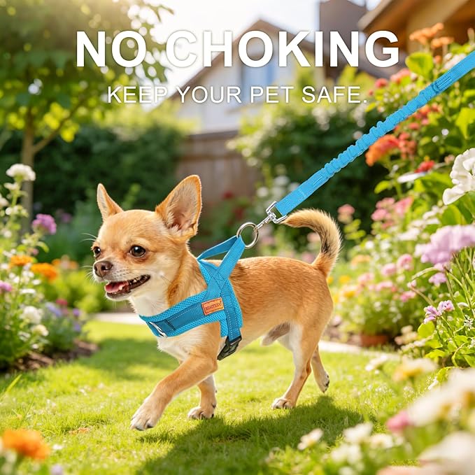 BEAUTYZOO No Pull Dog Harness Medium Sized Dog, Breathable Mesh Padded Dog Harness and Leash Set, Adjustable Reflective Escape Proof Dog Vest Harnessss Quick Fit for Training Walking, Blue M