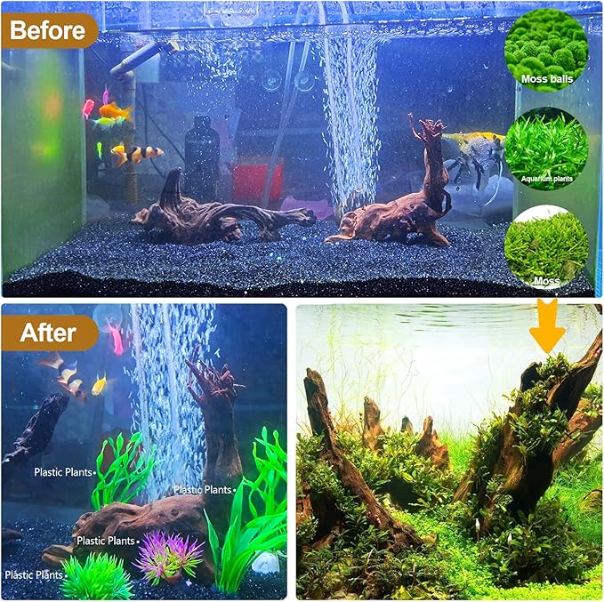Natural Driftwood Decor for Aquarium Decorations Reptile Tank Accessories, Assorted Wood Branches Decorations on Reptile Fish Tank 2-10" 2 Pcs/4 Pcs/ 5 Pcs/ 6 Pcs (Pack of 2 (7.5 to 10 Inch))
