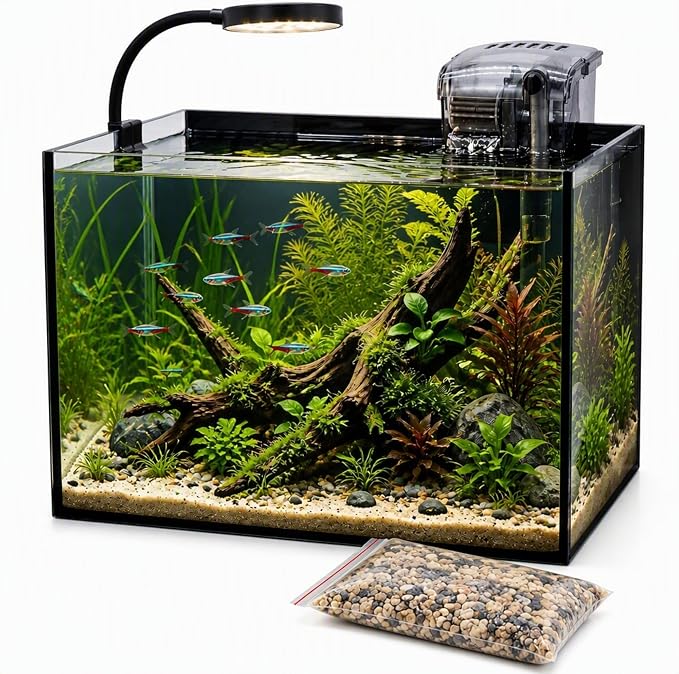 Smart Fish Tank Aquarium Kit: 2.8 Gallon Ultra-Clear Rimless Desktop Fish Tank with LED Light & Filter, Includes Landscape Stone, Complete Set for Small Fish, Shrimp, or Betta, Black