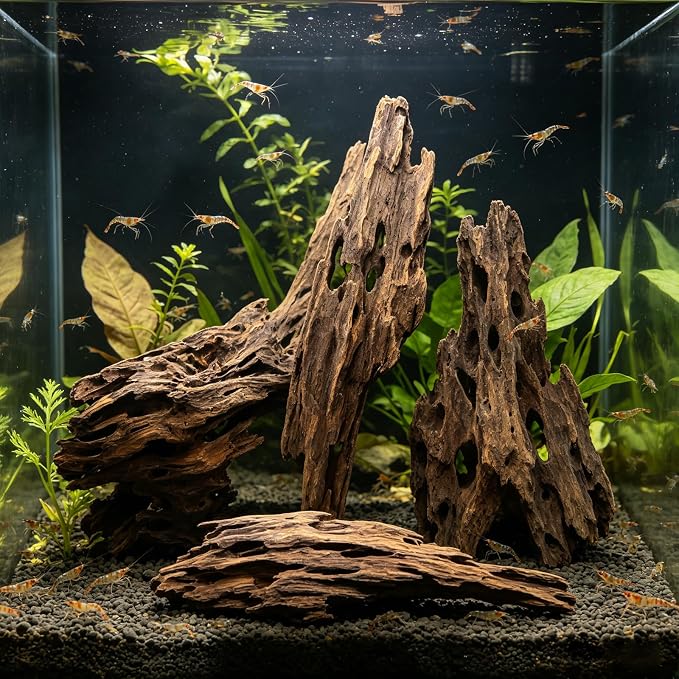 3 Pcs Natural Honeycomb Wood 8-12", Porous Aquarium Driftwood, Cholla Wood Shrimp Shelter Breeding Cave, Shrimp Dragon Wood for Fish Tank, Aquascaping, Reptile, Terrarium Decor