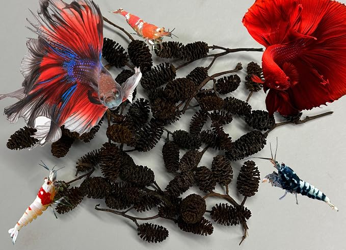 Awesome Aquatic 50 Alder Cones, Blackwater, Betta Shrimp Habitat | Natural tannins Botanicals Softwater Leaf litter Biofilm surface Water enrichment Natural décor Easy to use