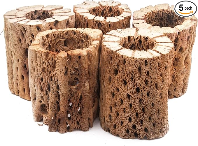 3, 6, 9, 12 Inch All Natural Teddy Bear Cholla Wood Extra Hollow Untreated Organic Aquarium Driftwood Decoration Chew Toy Shrimp Crab Cichlid Nano Tank Birds 1 or 5 Pieces (5 Pieces, 3 inch)