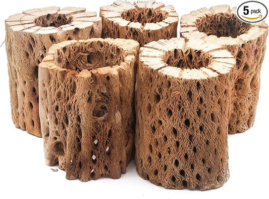 3, 6, 9, 12 Inch All Natural Teddy Bear Cholla Wood Extra Hollow Untreated Organic Aquarium Driftwood Decoration Chew Toy Shrimp Crab Cichlid Nano Tank Birds 1 or 5 Pieces (5 Pieces, 3 inch)