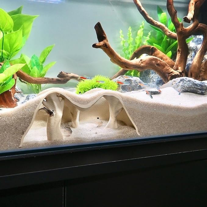 Aquarium Underground Cave Natural Mangrove Tree | Viewing Fish Under Gravel Tunnel Hide | Fish Tank Hideout Decor Decoration Enrichment for Corydora Catfish, Kuhli Loach, Pleco, Betta (Bone White)