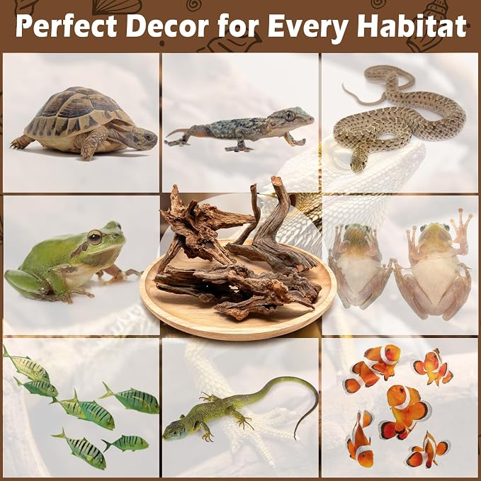 3PCS 8" Natural Driftwood for Aquarium & Reptile Tank, 7–8 Inches Unique Wood Decor for Fish Tank, Turtles, Lizards, Snakes, Natural Driftwood for Home Decor