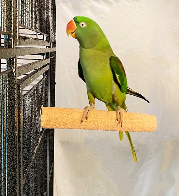 Polly's Pastels Nail Trimming & Beak Conditioning Safety Perch for Cockatiels, Cockatoos, Macaws, Parakeets, Budgies, Parrots and All Other Birds (Coral, Large-1 1/2" Dia. x 9" Long)