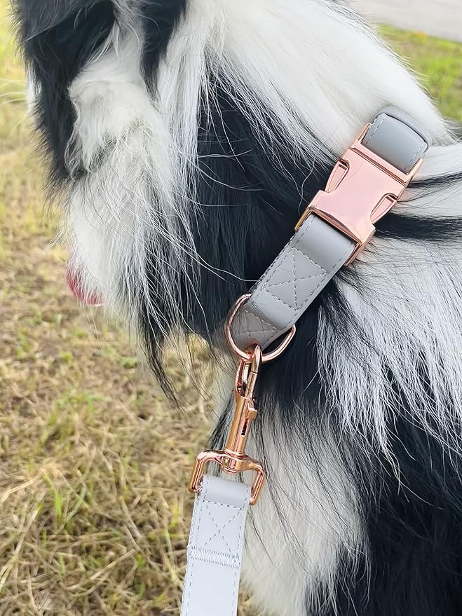 Dog Collar and Leash Set.Soft and Easy to Clean Vegan Leather with Rose Gold Metal Buckle for Small Medium Large Dogs (Grey, L(15.4”-24.8“)