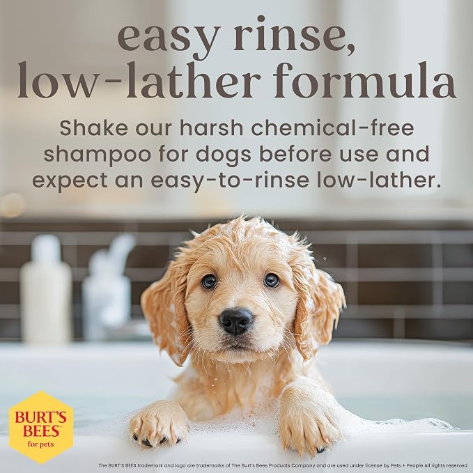 Burt’s Bees for Pets Tear Free Puppy Shampoo & Conditioner with Buttermilk, 2 in 1 Gentle Dog Shampoo for Puppies, Cleans and Conditions Sensitive Skin, 16 Fl Oz - 6 Pack
