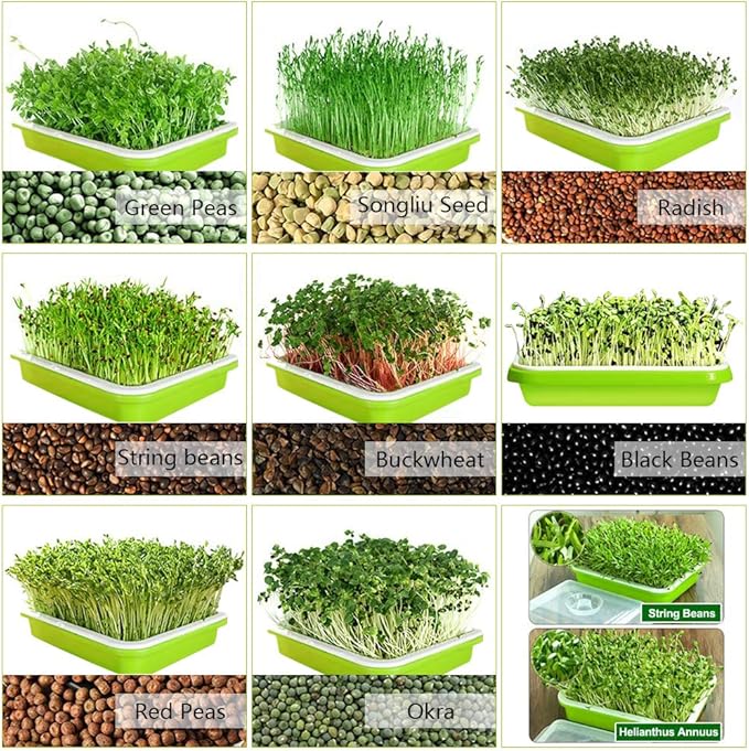SUNPRO 2-Pack Seed Sprouter Tray with Humidity Lid, BPA Free Food Grade Soil-Free Sprouting Kit, Large Capacity Wheatgrass Grower & Microgreens Germination Station for Beans, Peas, Cat Grass (Green)