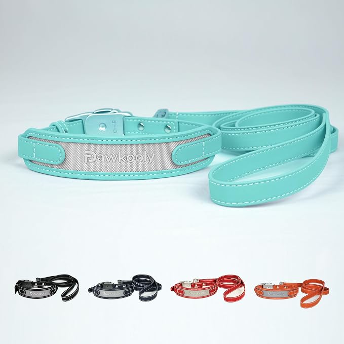 MagEase Dog Collar with 4FT Leash | Adjustable | Anti-Wrinkle, Bite & Stain-Resistant Leather | Soft & Skin-Friendly | 450LB Escape-Proof Magnetic Buckle (Light Blue, Small)
