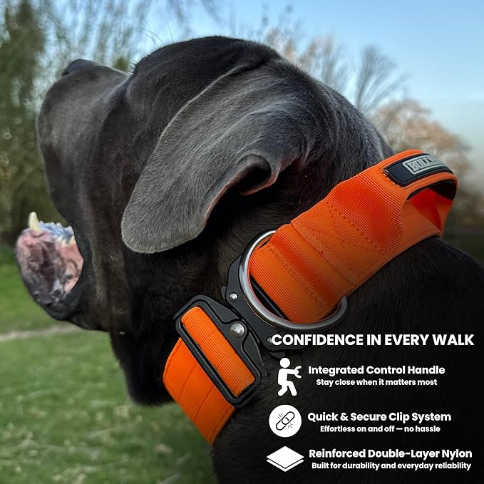 Heavy Duty Dog Collar, Tactical Dog Collar, Dog Collar for Large Dogs, Waterproof Dog Collar, Dog Training Collar, Quick-Release Metal Buckle, Adjustable Sizes – BULLYBREED (Orange, Large)