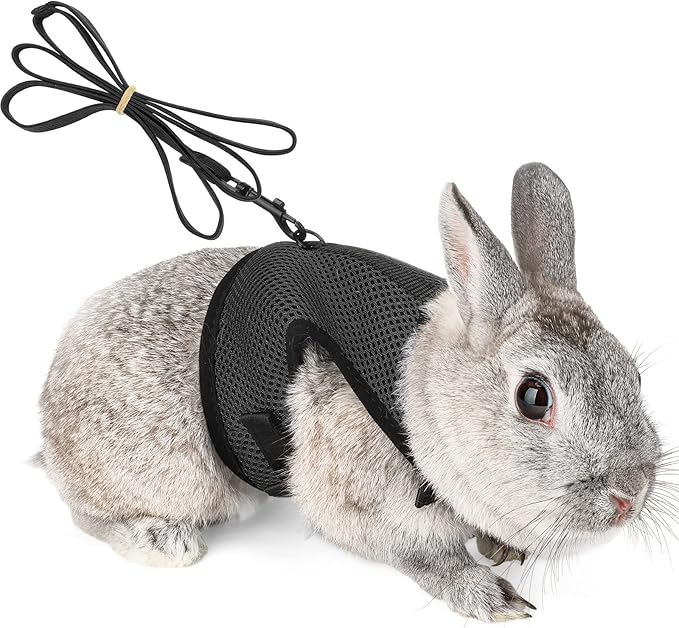 PETTOM Bunny Rabbit Harness with Stretchy Leash Cute Adjustable Buckle Breathable Mesh Vest for Kitten Small Pets Walking (Black,L)
