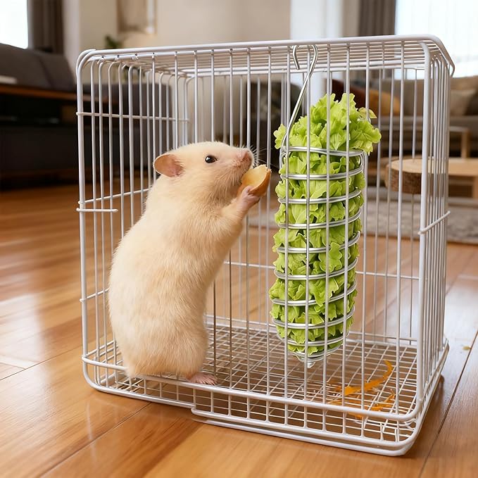 2Pcs Rat Enrichment Toys Stainless Steel Bird Food Holder Rat Parrot Foraging Toy Hanging Rodent Toy Fruit Vegetable Holder Puzzle Toys Slow Feeder Parakeet Foraging Mice Cage Accessories