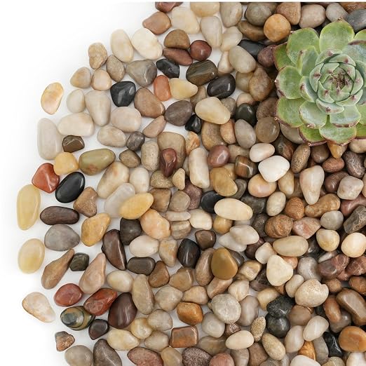 NUPICK 12lb River Rocks for Plants Indoor, 1/5" Pea Gravel for Fish Tank | Decorative Mixed Pebbles for Vase Fillers, Natural Polished Stones for Succulent, Bonsai, Landscaping, Bird Baths