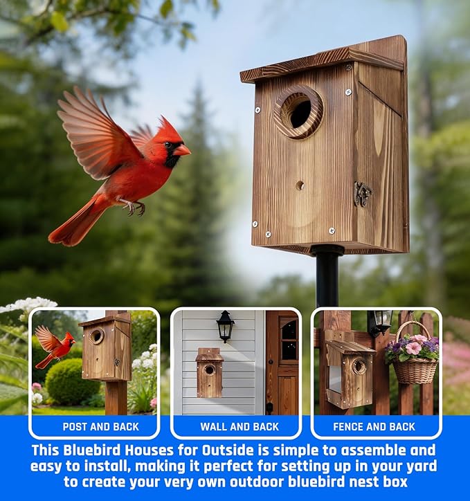 Natural Wood Birdhouse for Outside, Wooden Nesting Box with Circular Entrance Hole and Perch， Blue Bird Houses for Outdoors with Clear View Panel & Predator Guard for Blue Robin, Wren, Swallow