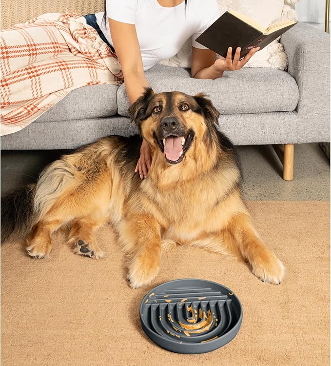 Should We Go? Slow Feeder for Dogs & Puppies, The Slowdown Bowl Silicone Slow Eating, Modern Lick Mat Design, Reduces Gulping, Fits 2.5 Cups 9.5” Across x 1.5” Tall, Mealtime Challenge, Large-Charcoal