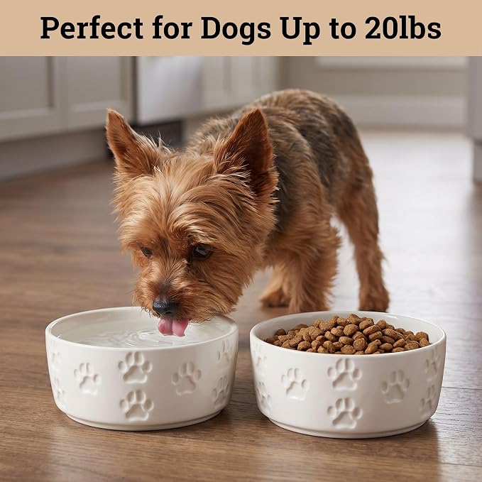 Ceramic Dog Bowl Set of 2 with Anti-Skid Base - 5.5" Wide x 2" Tall Ceramic Dog Bowls for Small Dogs - 2 Cup Capacity Food and Water Bowls for Dogs - Rubber Bottom Pet Bowl Set of 2 for Small Pets