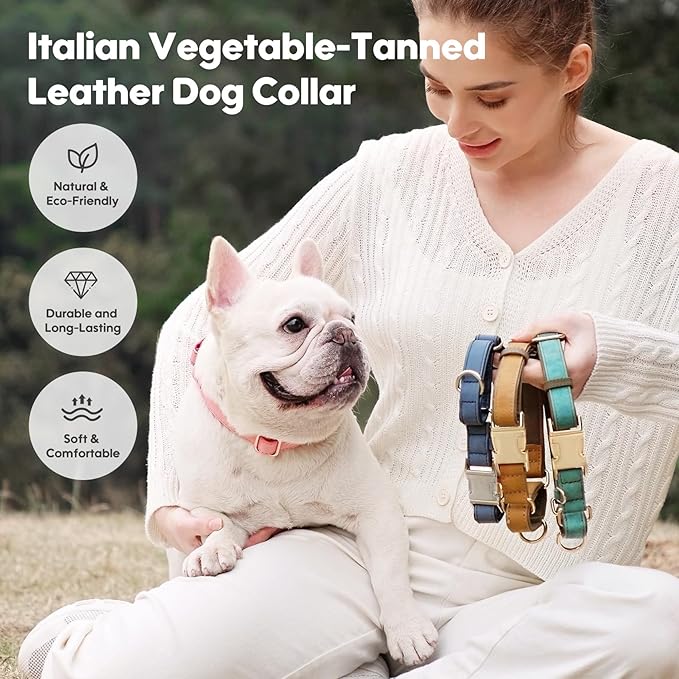 WHIPPY Vegan Leather Dog Collar No Slip Martingale Dog Collar with Quick Release Metal Buckle for Large Medium Small Dogs,Blue