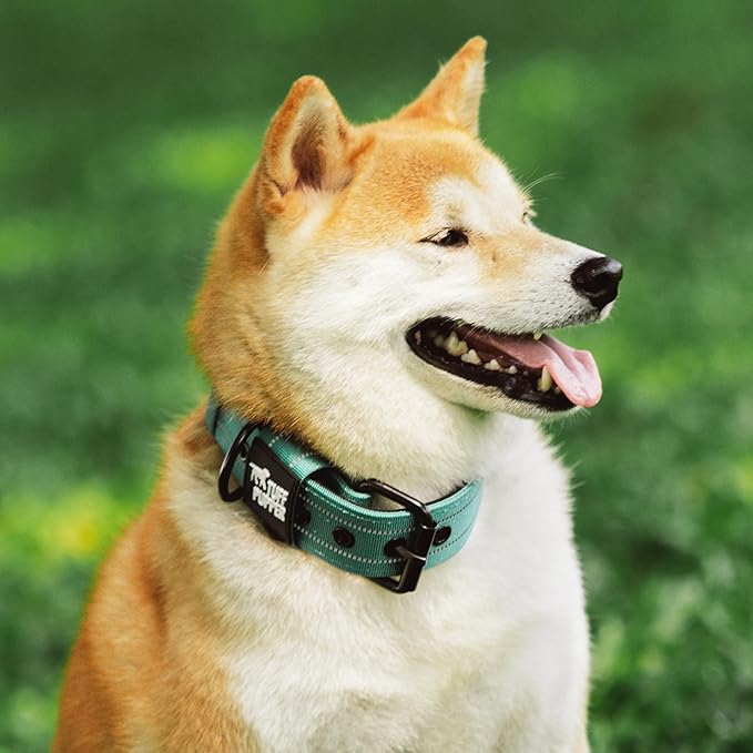 Tuff Pupper Heavy Duty Tactical Dog Collar | 1.5" Wide Ballistic Nylon | Reflective Stitching | Integrated ID Tag Holder | Stainless Steel Buckle | Padded Lining | Medium & Large Dogs (Green, Medium)