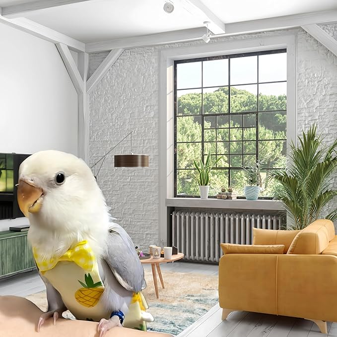 2Pcs Bird Diapers Bird Harness Flight Suits Diapers with 80 Inch Flying Leash Parrot Nappy Washable Cute Urine Wet Suit for Cockatiel Conure Macaw Budgies Parakeet-Pineapple&Watermelon,M
