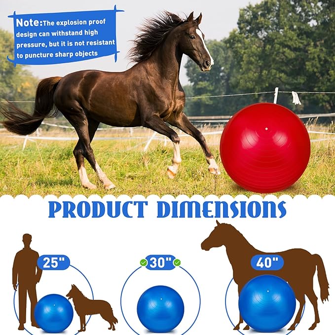 Sotiff 2 Pcs 30 Inch Large Horse Ball for Play Herding Horse Ball for Anti Burst Soccer Toys, Pump Included