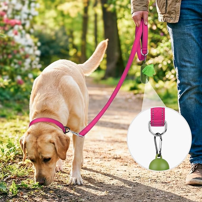 Joytale Dog Leash, 4 FT Double-Sided Reflective, Padded Handle Nylon Heavy Duty Leashes for Small Dogs Walking, Hotpink