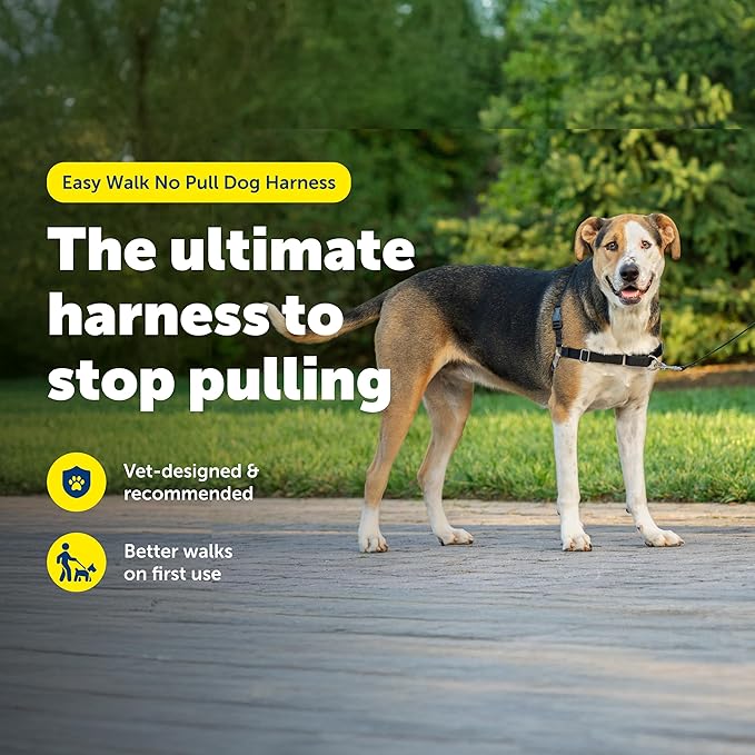 PetSafe Easy Walk No-Pull Dog Harness - The Ultimate Harness to Help Stop Pulling - Take Control & Teach Better Leash Manners - Helps Prevent Pets Pulling on Walks, X-Large, Black/Silver