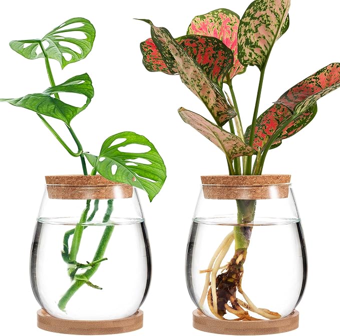 Plants Propagation Station, Gardening Gifts for Women Mom Plant Lovers | Biggun 2Pcs Desktop Plant Terrarium Glass Hydroponic Vases, Water Plant Jars (Water Drop Shape, Separated Tray Style)