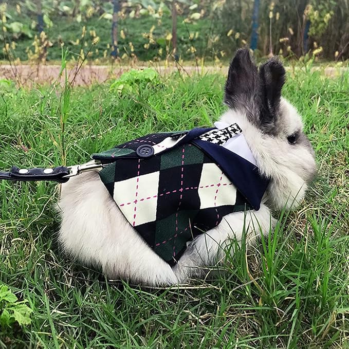 Bunny Harness and Leash,Adjustable Soft Guinea Pig Clothes Pet Rabbit Ferret Harness Costumes for Small Animals Dress