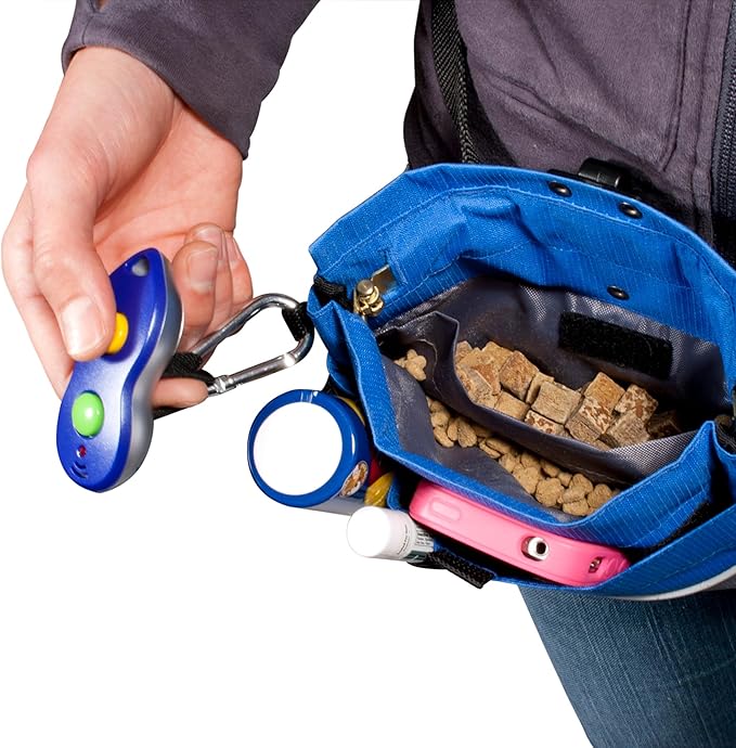 PetSafe Treat Pouch Sport - Easy Access Waterproof Treat Pouch for Daily Use - Convenient Phone & Keys Carry with Dual Inner Pocket & Front Storage Pocket - Adjustable Fit - Standard - Blue