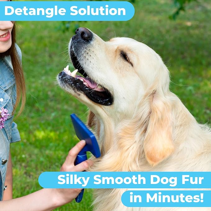 Pawtitas Dog Shampoo and Conditioner All Natural and Hypoallergenic Shampoo for Puppy Made with Certified Organic Natural Herbs Dog Conditioner - 16 Oz Dog Shampoo Made with Eucalyptus & Spearmint