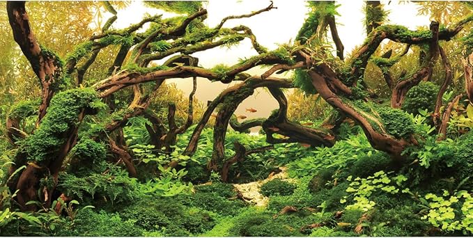 AWERT 72x18 inches Aquarium Background Branches Aquarium Background Aquatic Plant River Bed & Lake Fish Tank Background Vinyl Background | AWERT Moss Driftwood River Bed & Lake Aquarium Background Vinyl