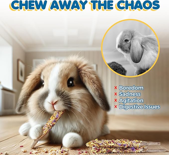 SunGrow Apple Sticks, Wood Chew Treats for Rabbits, Chinchillas, Bunny, Hamster, Squirrel, Guinea Pigs, Small Animals Molar Pet Chew Toys for Teeth Grinding (20 Pcs)