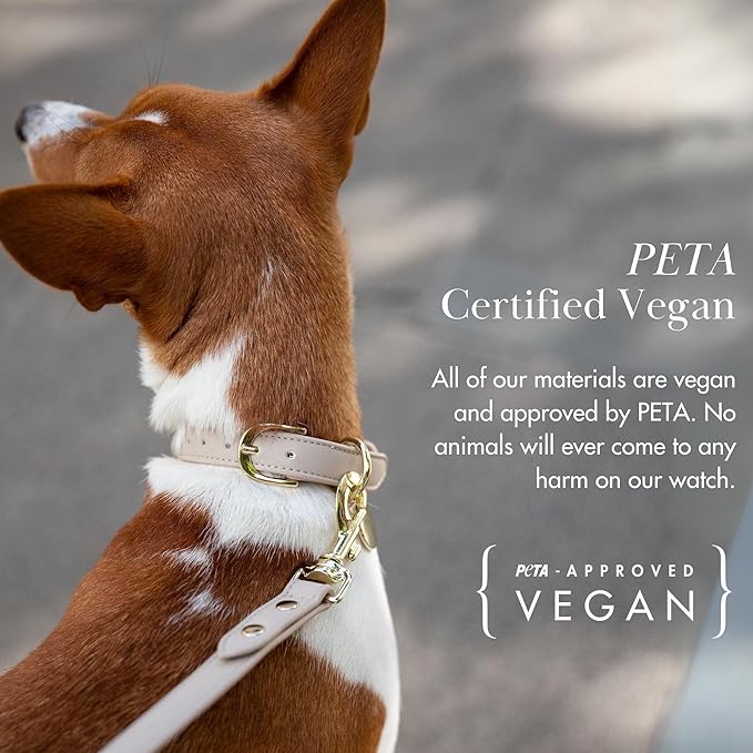 NINA WOOF Copenhagen Leather Dog Collar - Handmade with Vegan Soft Leather Round Padded Collar with Adjustable Buckle for Extra Small, Small, Medium, and Large Dogs - Color Beige, Small