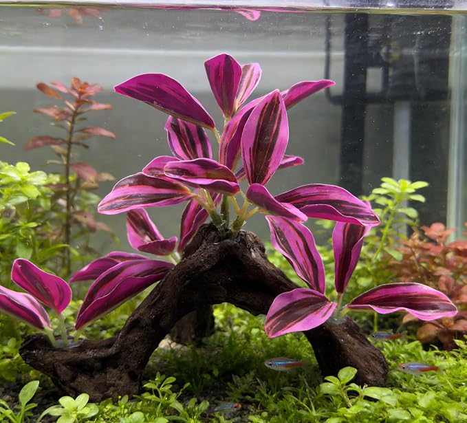 M2cbridge Fish Tank Plastic Soft Grass Artificial Betta Water Plants Purple | zero maintenance, soft without scratching, healthy underwater home