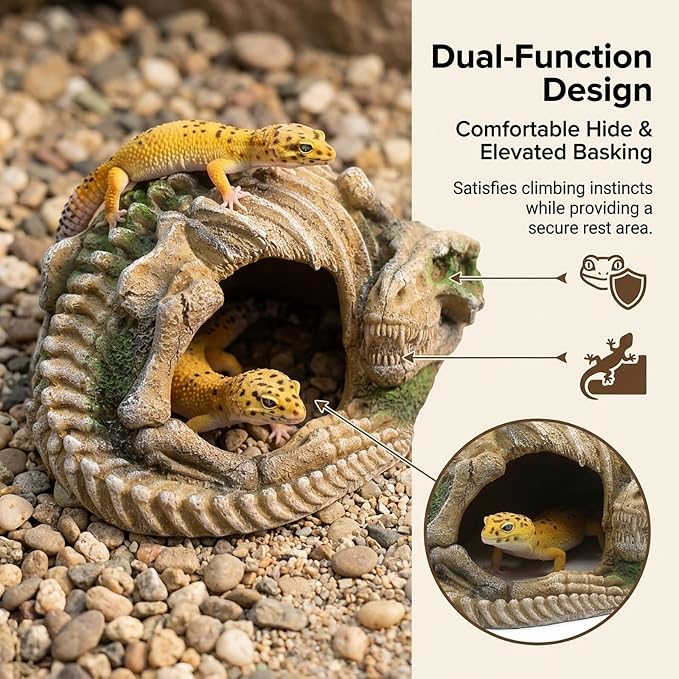 Reptile Hide Skull Animal Skeletons Decorations, Aquarium Hideaway Cave Fish Tank Decorations for Amphibians, Betta Fish, Shrimp, Lizards, Leopard Gecko