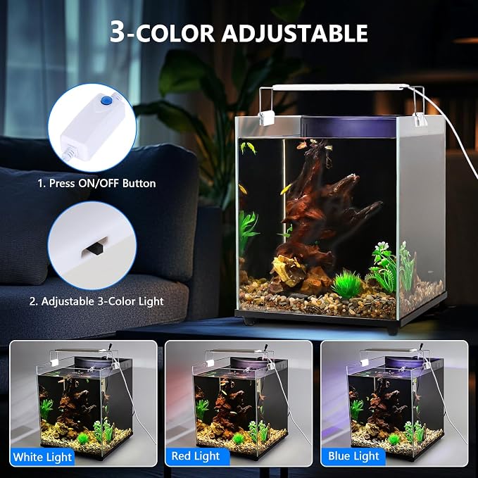 fishkeeper 5 Gallon Fish Tank Starter Kit, Small Aquarium with Filter | LED Light with 3 Colors, Self Cleaning Fish Bowl, Rimless Aquarium for Beginners only for Freshwater Tank, Room Desktop Decor