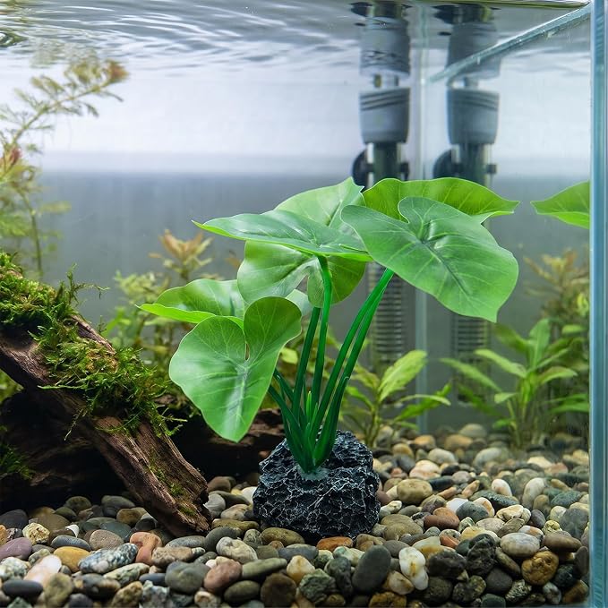 Betta Plants,Lotus Leaf Betta Fish Plants Fish Hides | Green Plants for Betta Fish Tank Decorations for Goldfish,Reptile (6 Inch)