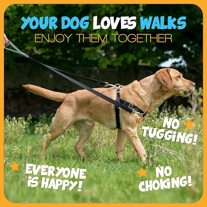 2 Hounds Design Freedom No Pull Dog Harness, Adjustable Harness, Easy Walking & Comfortable Control, Fits Small, Medium & Large Dogs, Solid Colors, Made in USA, 1" XXL, Royal Blue