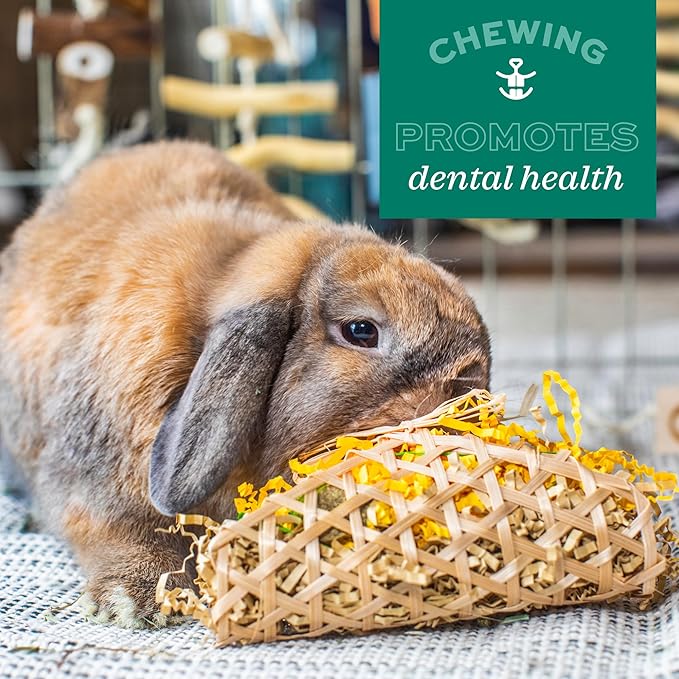 Oxbow Enriched Life Timothy Popsicle, Rabbit Toys, Guinea Pig Toys, Enrichment for Bunny, Guinea Pig, Hamster Stuff, Rabbit, Chinchilla, Made with Timothy Hay, Chinchilla Cage Accessories