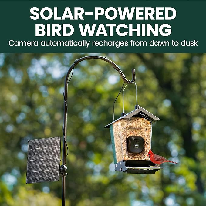 Perky-Pet Solar Powered Smart Bird Feeder with Camera - Squirrel-Resistant, 3.2L Capacity, Motion Activated 1080p HD WiFi Live Stream Camera, SPCAM, SPCAMSLR - Camera Feeder Gift Idea, Yellow