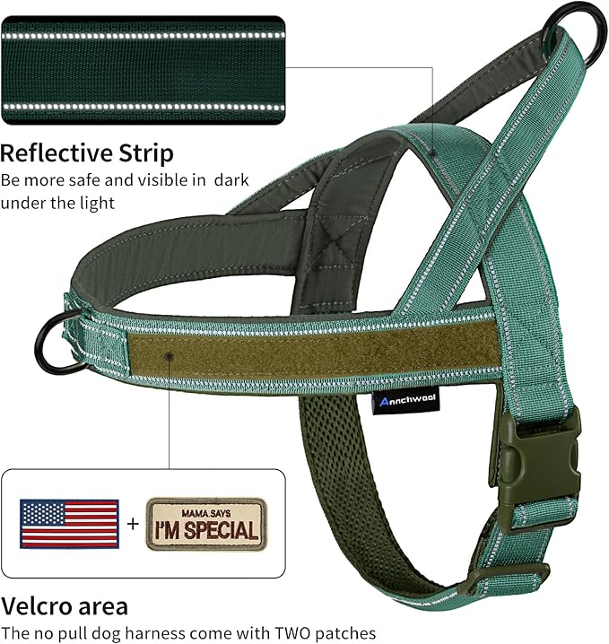 Annchwool No Pull Dog Harness with Soft Padded Handle,Reflective Strip Escape Proof and Quick Fit to Adjust Dog Harness,Easy for Training Walking for Small & Medium and Large Dogs(Green,S)