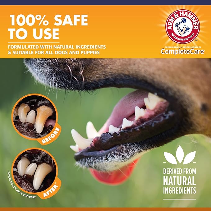 Arm & Hammer Complete Care Enzymatic Puppy Toothpaste, Peanut Butter Flavor, Enzymatic Dog Toothpaste for Puppies, Baking Soda + Calcium Formula, 6.2oz - 48 Pack