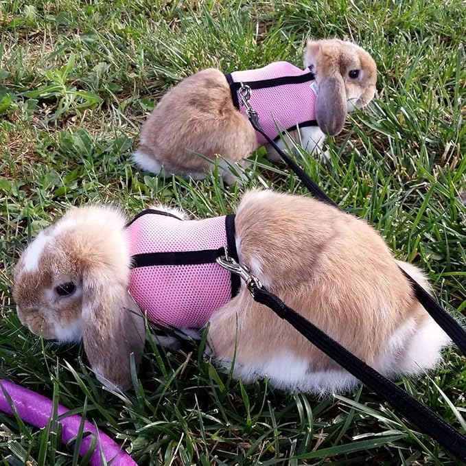 PETTOM Bunny Rabbit Guinea Pig Harness Stretchy Elastic Leash Cute Soft Mesh Small Pet Harness No Pull Comfort Outdoor Walking Jogging Padded Vest for Ferret Guinea Pig (Pink,L)