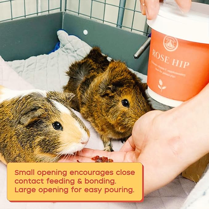 GuineaDad Organic Guinea Pig Herbal Treats - Guinea Pig Food with Convenient Packaging - Rose Hip Flavor - 16 fl oz - Guinea Pig Treats Help with Bonding - High in Nutrition, Immune Support - Large
