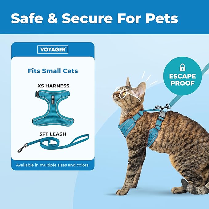 Voyager Escape-Proof Step-in Lock Cat Harness & 5ft Neoprene-Handle Leash Set All-Weather Mesh with Reflective Stitching for Small to Large Cats by Best Pet Supplies, Turquoise (327), XS
